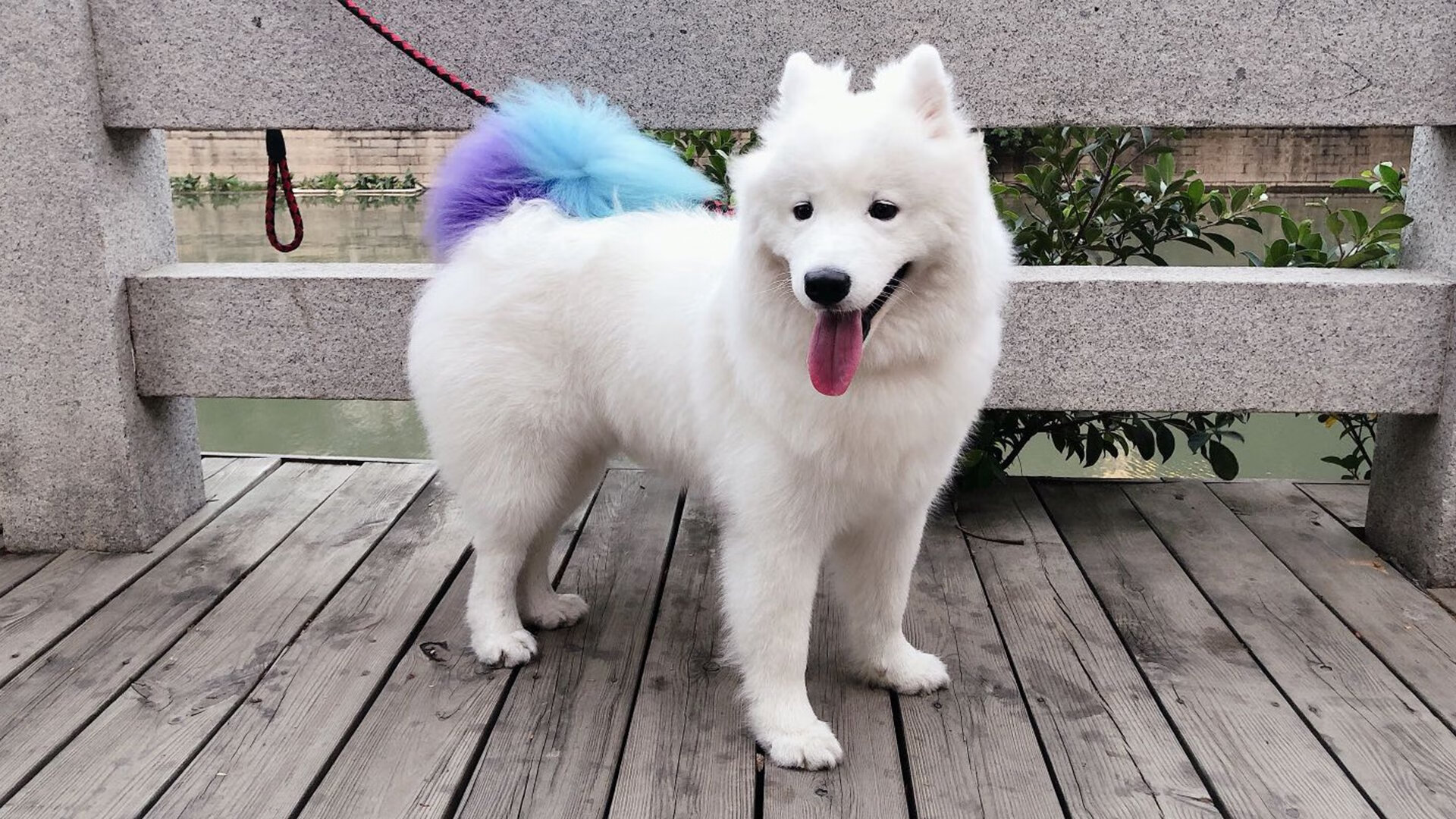 《粉丝狂欢：线下粉丝见面会的火热场面》，粉丝线下活动个人要花多少钱