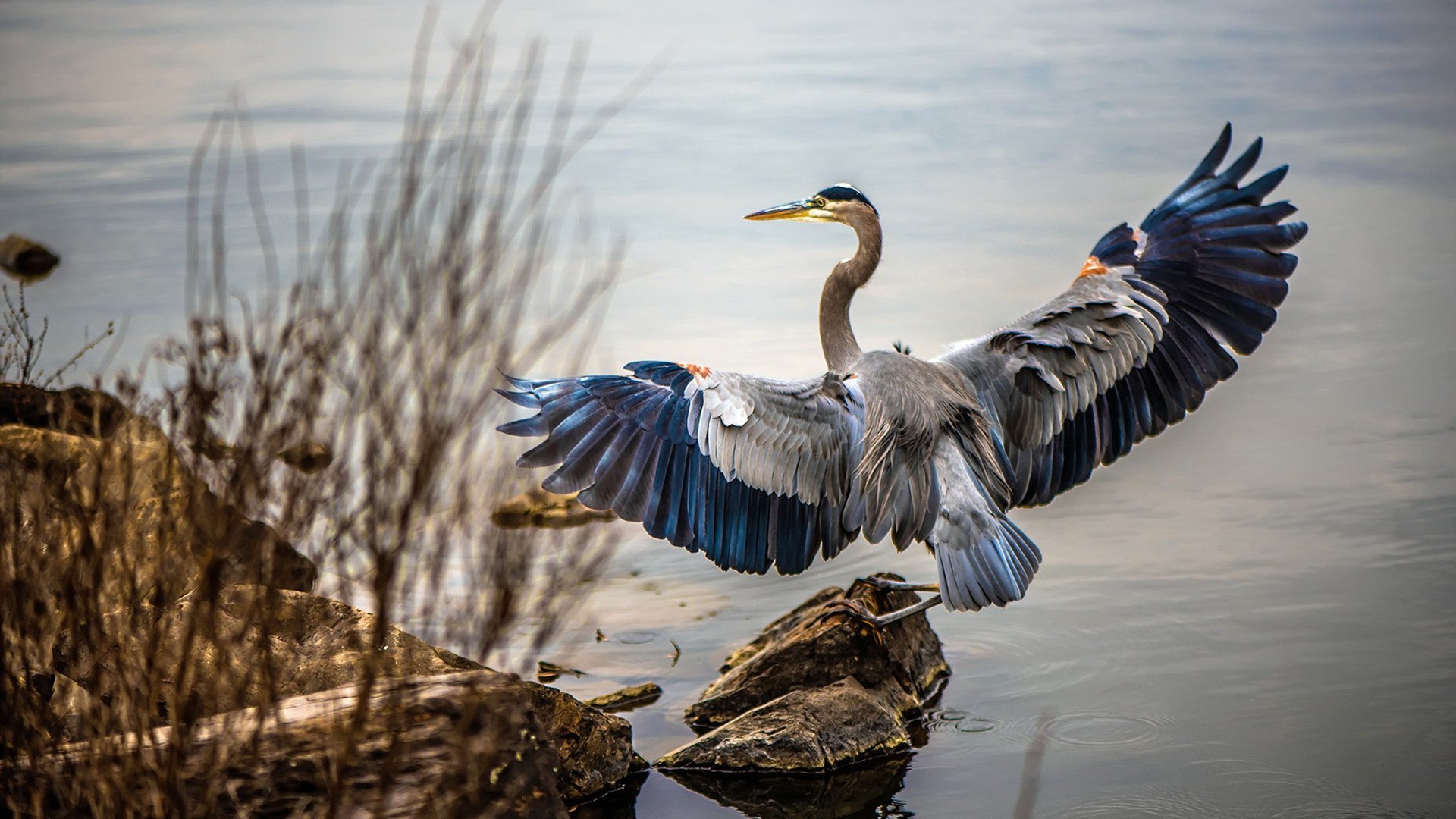 “悬崖边的赛段”——极限中的生死瞬间,悬崖边沿