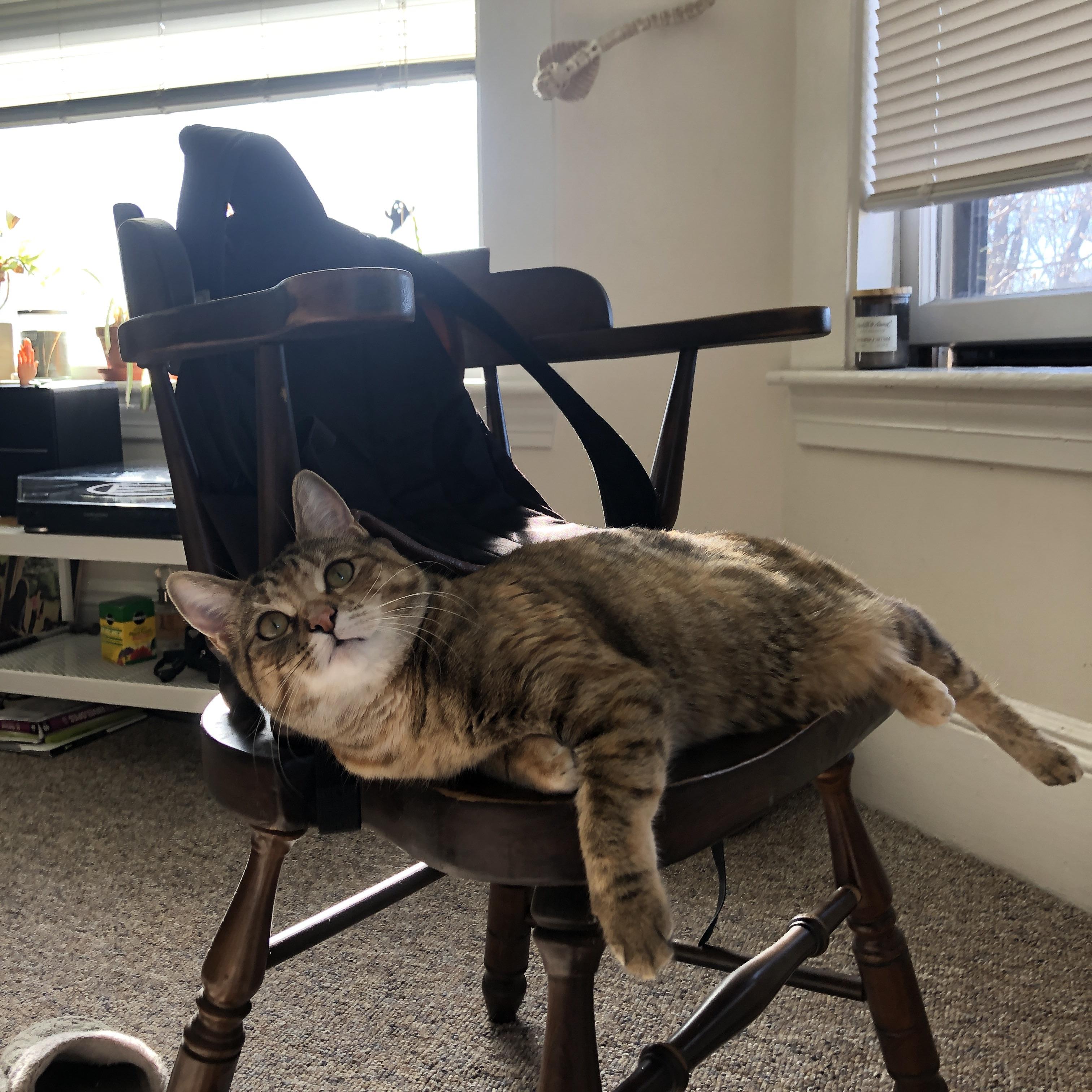 史上最精彩“团队配合”大合集：战术大师的杰作！，团队搭配赛高分攻略最新